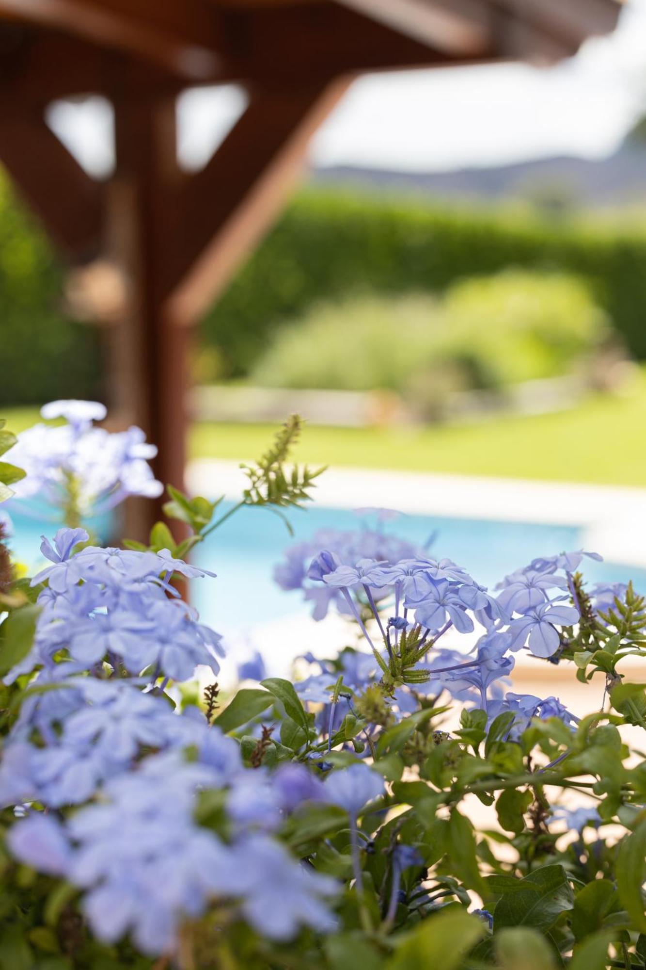 Finca La Marina Denia Exteriér fotografie